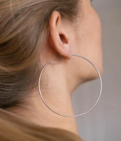 Boucles D'oreilles Hosta (Acier) -Bijoux Fantaisie SEC18036 00UNI P1