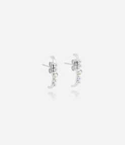 Boucles D'oreilles Elise (Acier)