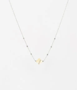 Collier Velasquez (Acier) -Bijoux Fantaisie SNS07970 00SEL WEB