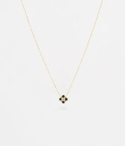 Collier Mint (Acier Doré) -Bijoux Fantaisie SNS18056 01BLK WEB