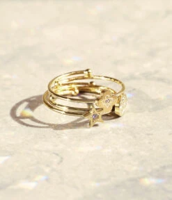 Bague Grande Ours (Acier Doré) -Bijoux Fantaisie bague grande ours acier dore nature morte