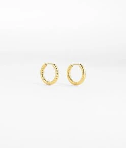 Boucles D'oreilles Hydra (Acier Doré)