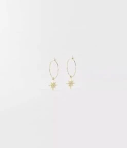 Boucles D'oreilles Magellan (Acier Doré)