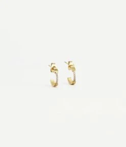 Boucles D'oreilles Mania (Acier Doré)